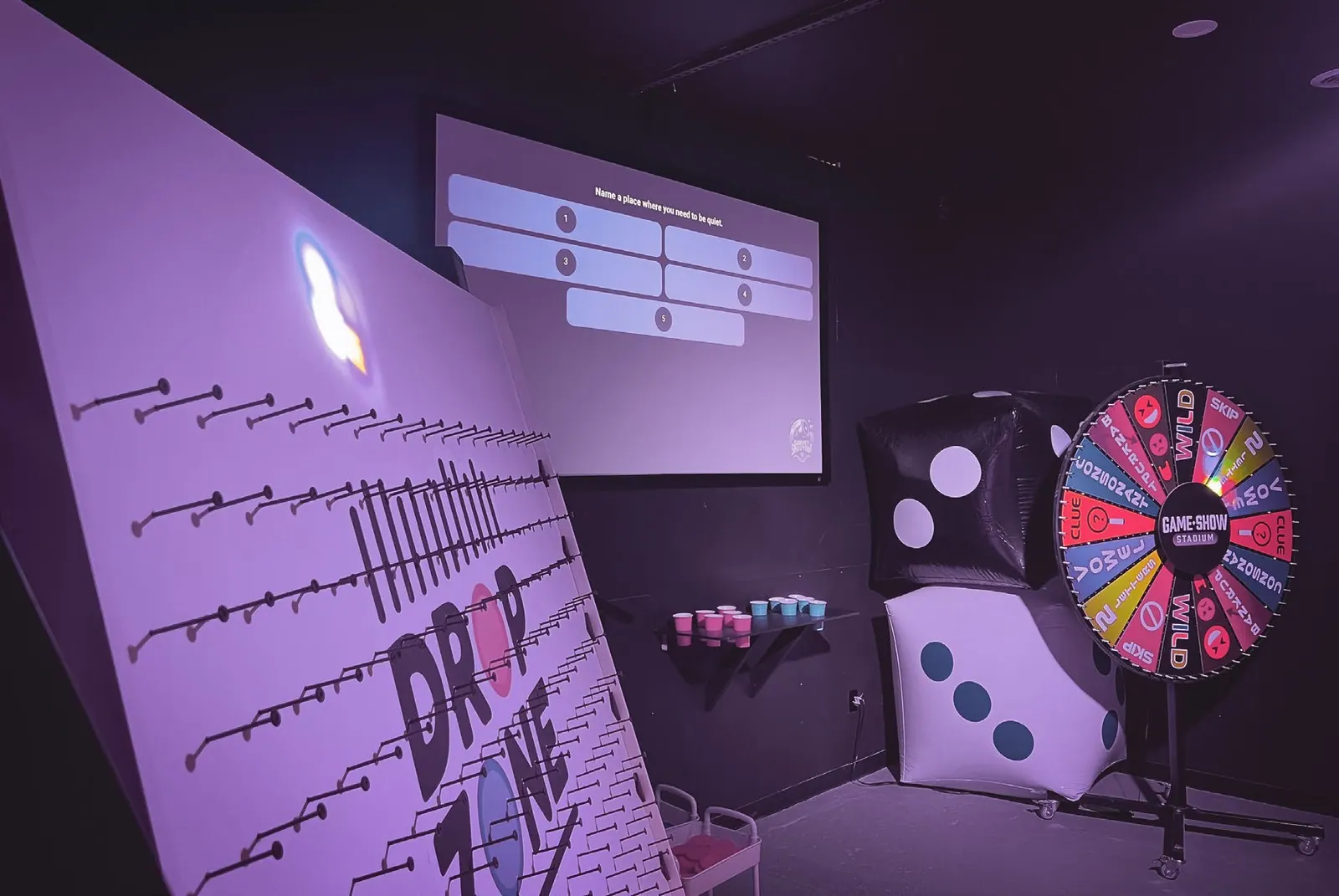 The Drop Zone plinko board